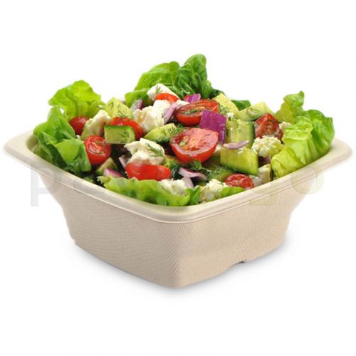 Schale aus Bagasse, eckig (kompostierbar), 
