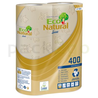 Toiletpapier, kleine rol voor in het huishouden - tissue, 2-laags, milieuvriendelijk 400 vellen T4 recycling