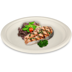 Bagasse barbecue bord "Eco-Friendly", Ø24cm rond, wegwerp feestbord, composteerbaar