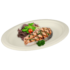 Bagasse ovaal bord "Eco-Friendly" - 26x19cm, wegwerp feestbord, composteerbaar