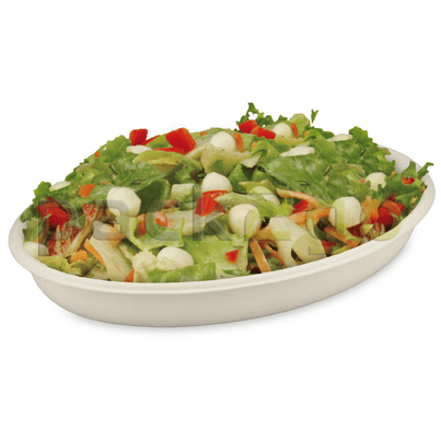 Schale aus Bagasse 